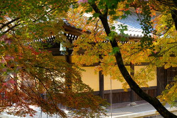 南禅寺法堂と紅葉