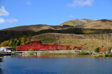 Obraz premium 自然の景色