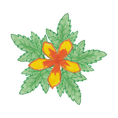 floral design elements created by hand using crayon