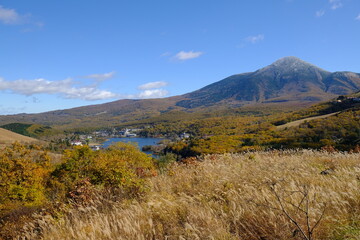 自然の景色
