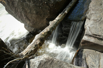 Waterfall, cascade, streaming on the rock with dead trunk, Canada