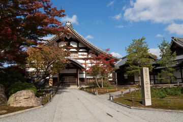 Fototapeta na wymiar 秋の高台寺
