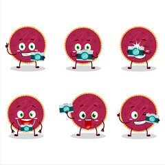 Fototapeta premium Photographer profession emoticon with cranberry pie cartoon character