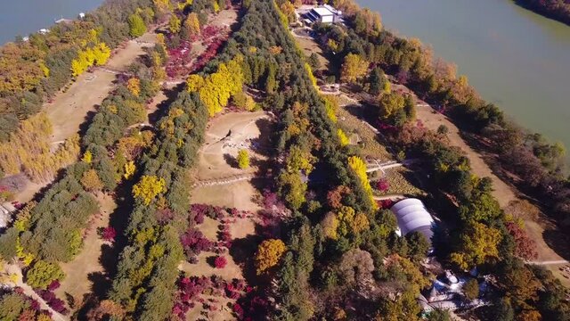 Aerial video of Nami island during Autumn season, South Korea. Aerial landscape of Nami island.