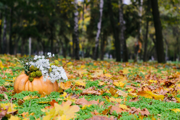 Autumn landscape in the city park. A pumpkin and old leaves on the ground.