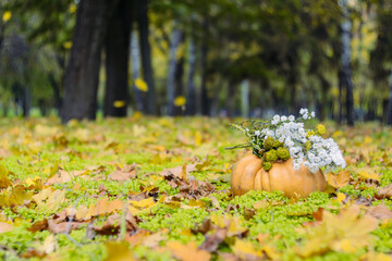 The pumpkin in the autumn park