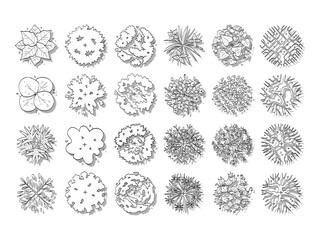 vector of top view tree set, hand drawn sketch isolated on white background