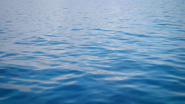 Beautiful blue waves of the deep -slow motion