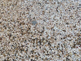 pebble stone background