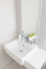 Fototapeta na wymiar White toilet in the home bathroom with a sink and toilet. Bathroom luxury interior.