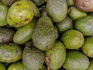 top view of a pile of fresh, clean organic avocados, bunch of hass avocados