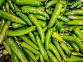 top view of a pile of fresh, clean organic green chilis, bunch of green chilli