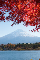 河口湖の紅葉と富士山