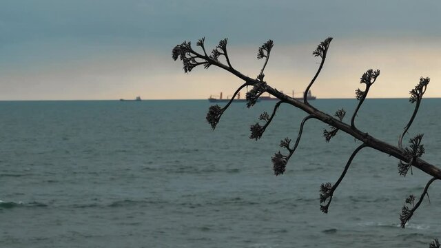 Beautiful Atlantic ocean waves at Carcavelos beach, Portugal, Amazing tones. Waves breaking surfers ships, boats sailing
