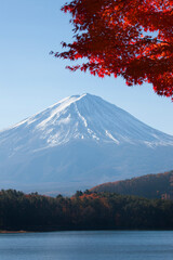 河口湖の紅葉と富士山