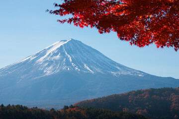 河口湖の紅葉と富士山