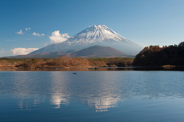 精進湖からの富士山