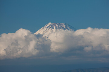 大瀬崎からの富士山
