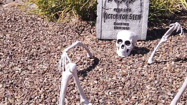 Pull back to reveal a skeleton half out of the gave decoration for hall oween