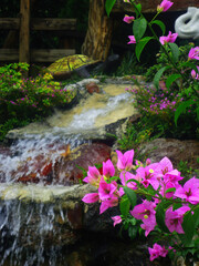 flores, agua, cascada, jardín 