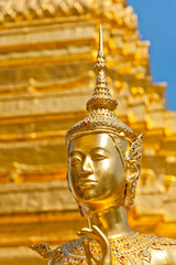 Fototapeta premium 黄金の半人半像キンナラ