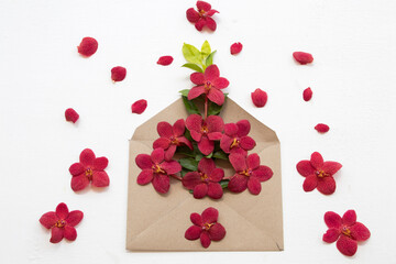red flowers orchid arrangement in brown envelope  flat lay postcard style on background white 