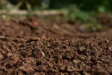 Clean soil for cultivation. The potting soil or peat is suitable for gardening and is one of the four natural elements. The land is life for our planet earth. Selective Focus.