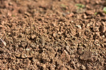 Clean soil for cultivation. The potting soil or peat is suitable for gardening and is one of the...
