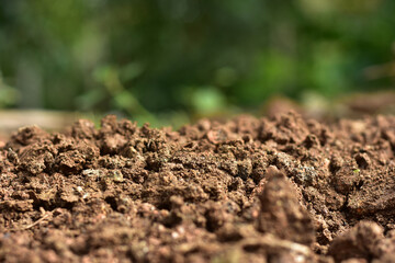 Clean soil for cultivation. The potting soil or peat is suitable for gardening and is one of the...