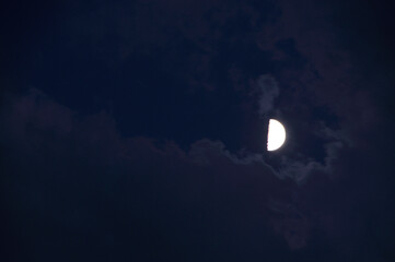 Obraz premium 雲間の月