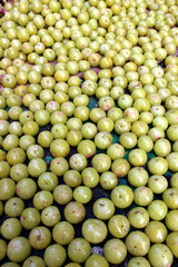 Wild Indian fruit green Amla Juicy Fruit in a bunch for sale