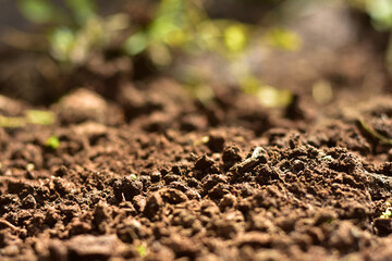 Clean soil for cultivation. The potting soil or peat is suitable for gardening and is one of the four natural elements. The land is life for our planet earth. Selective Focus.