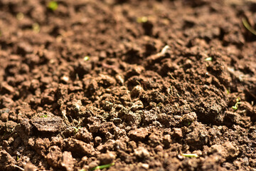 Clean soil for cultivation. The potting soil or peat is suitable for gardening and is one of the four natural elements. The land is life for our planet earth. Selective Focus.