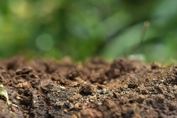 Clean soil for cultivation. The potting soil or peat is suitable for gardening and is one of the four natural elements. The land is life for our planet earth. Selective Focus.
