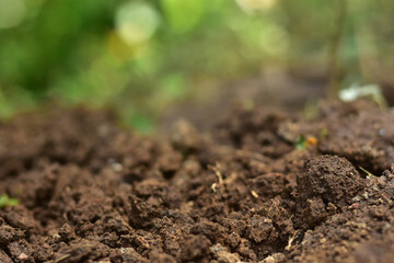 Clean soil for cultivation. The potting soil or peat is suitable for gardening and is one of the four natural elements. The land is life for our planet earth. Selective Focus.
