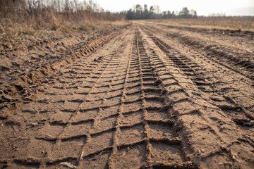 the imprint of the tread on a dirt road. Clay soil, summer day, sunlight