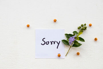 sorry message card handwriting on paper with purple flowers arrangement flat lay postcard style on background white