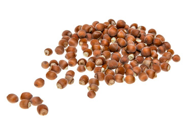 fresh hazelnuts on white background