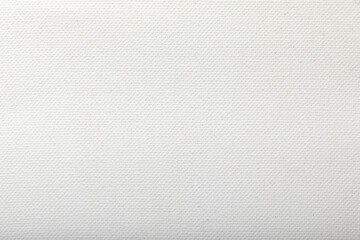 structure of dense cotton fabric covered with white acrylic primer used as canvas for artistic work