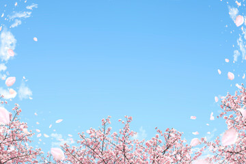 桜の花吹雪舞う青空フレーム