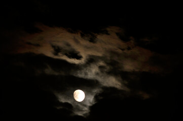 雲間の月