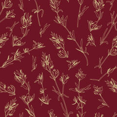 Fototapeta na wymiar Thyme. Herbal seamless pattern. Design for fabric, textile, wallpaper, packaging.