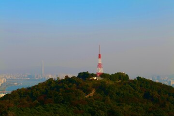 tower in the city