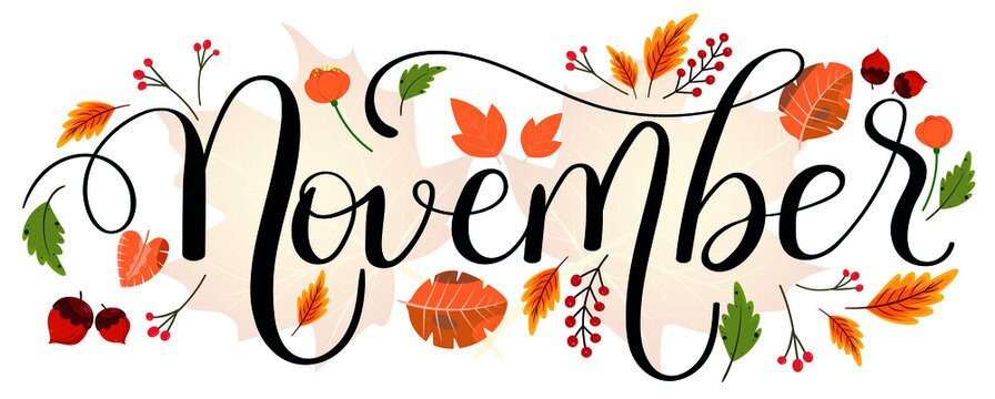 Hello NOVEMBER. November month vector hand lettering with flowers and leaves. Decoration floral. Illustration month November
