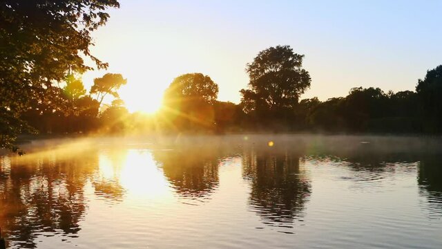 Lake view at sunrise, tree reflections on the lake, misty lake, golden sunlight reflected on the lake