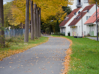 An empty bicycle path in autumn.