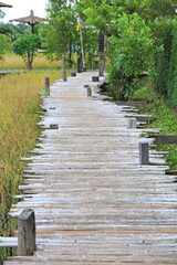 Wooden bamboo bridge on rice paddy field.