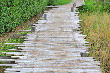 Fototapeta na wymiar Wooden bamboo bridge on rice paddy field.