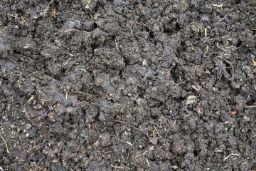 Close Up dark Soil texture background for plantation. Soil prepared for planting.