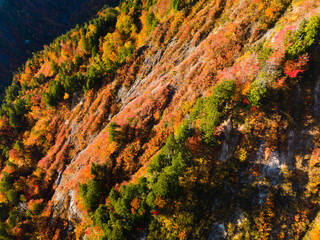 Shirakami Mountains.